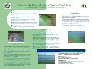 Freshwater Algae Blooms: Contributing Factors and Health Concerns Massachusetts Department of Public Health, Bureau of E