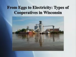 From Eggs to Electricity: Types of Cooperatives in Wisconsin