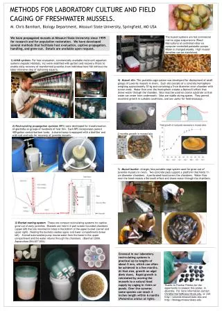 METHODS FOR LABORATORY CULTURE AND FIELD CAGING OF FRESHWATER MUSSELS.