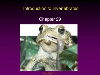 Introduction to Invertebrates