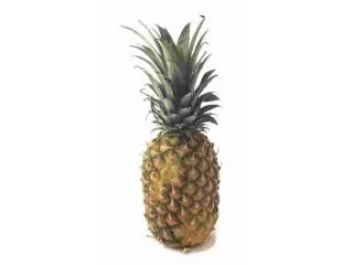 The Pineapple!