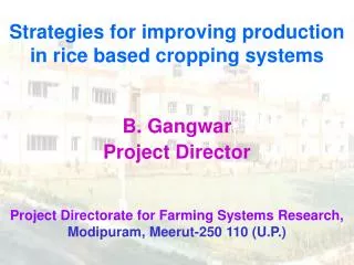 Strategies for improving production in rice based cropping systems B. Gangwar Project Director