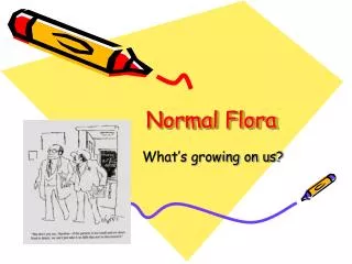 Normal Flora
