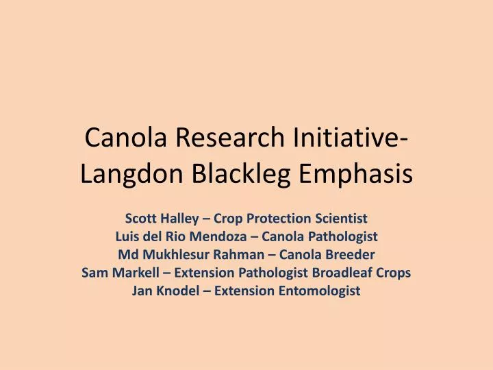canola research initiative langdon blackleg emphasis