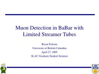 Muon Detection in BaBar with Limited Streamer Tubes