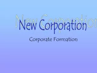 Corporate Formation
