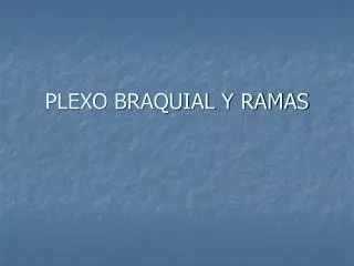 PLEXO BRAQUIAL Y RAMAS