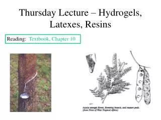 Thursday Lecture – Hydrogels, Latexes, Resins