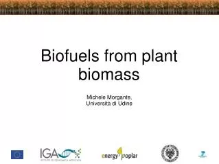 Biofuels from plant biomass