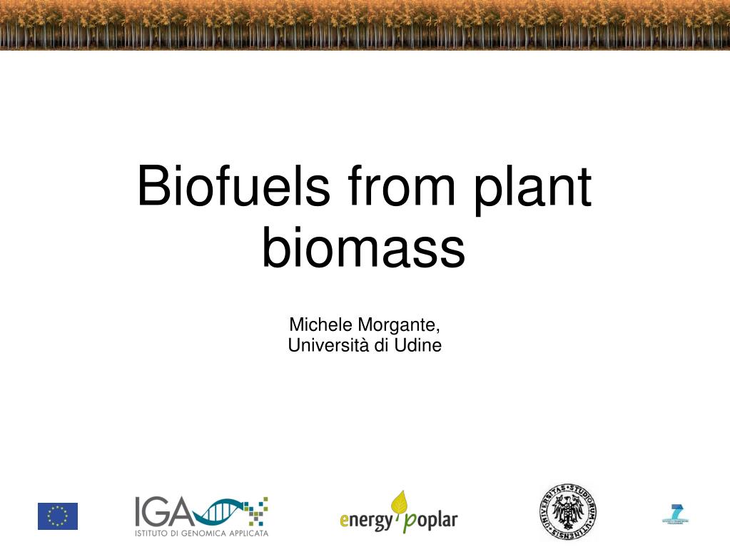 PPT - Biofuels from plant biomass PowerPoint Presentation, free ...