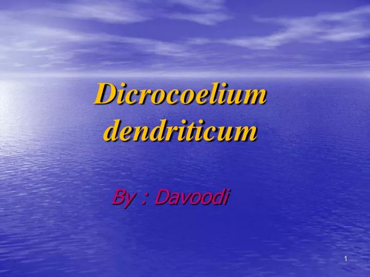 dicrocoelium dendriticum