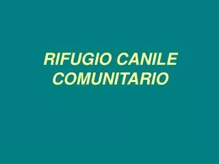 rifugio canile comunitario