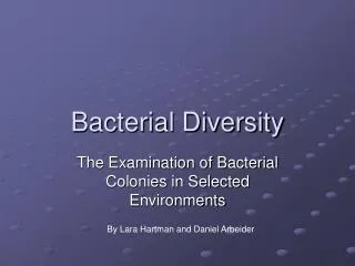 Bacterial Diversity