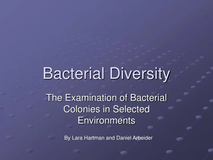 bacterial diversity