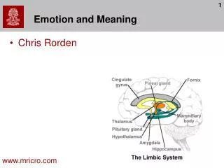 Emotion and Meaning