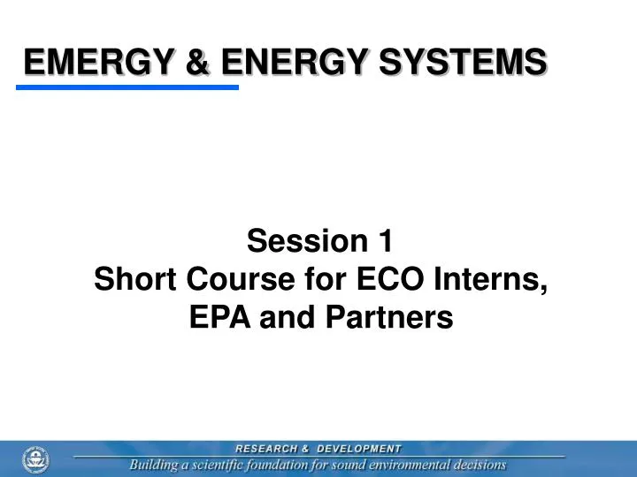 emergy energy systems