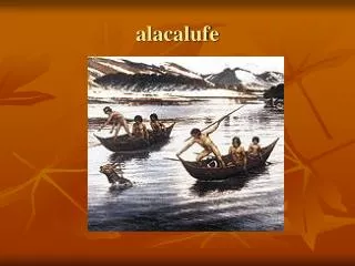 alacalufe