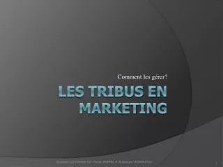 Les Tribus en Marketing