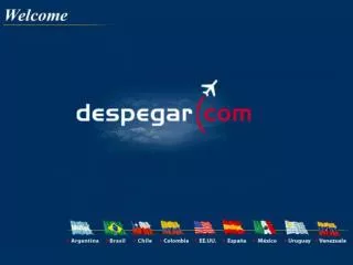 Building the online travel marketplace in Latin America The Despegar strategy