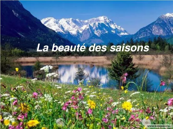 la beaut des saisons