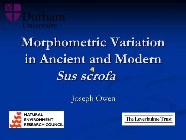 morphometric variation in ancient and modern sus scrofa