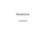 Metabolism - slide 1