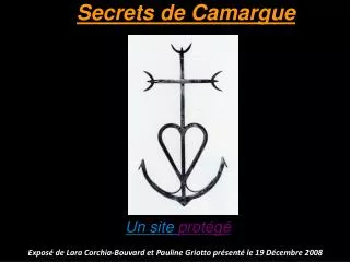 Secrets de Camargue