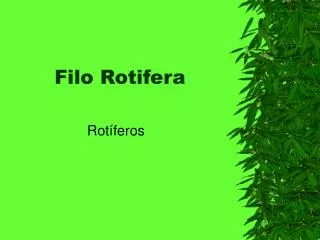 filo rotifera