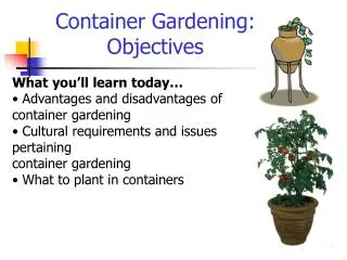 Container Gardening: Objectives