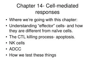Chapter 14- Cell-mediated responses
