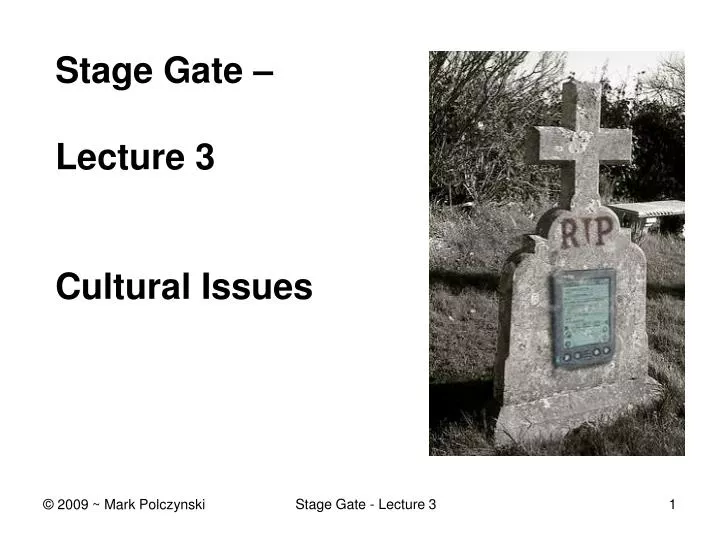 stage gate lecture 3 cultural issues