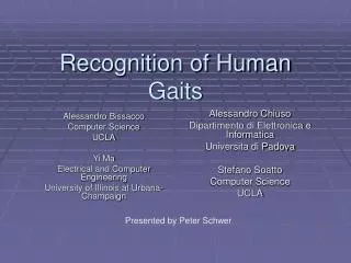 Recognition of Human Gaits