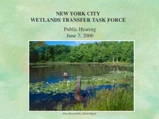 NEW YORK CITY WETLANDS TRANSFER TASK FORCE