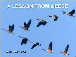 A LESSON FROM GEESE