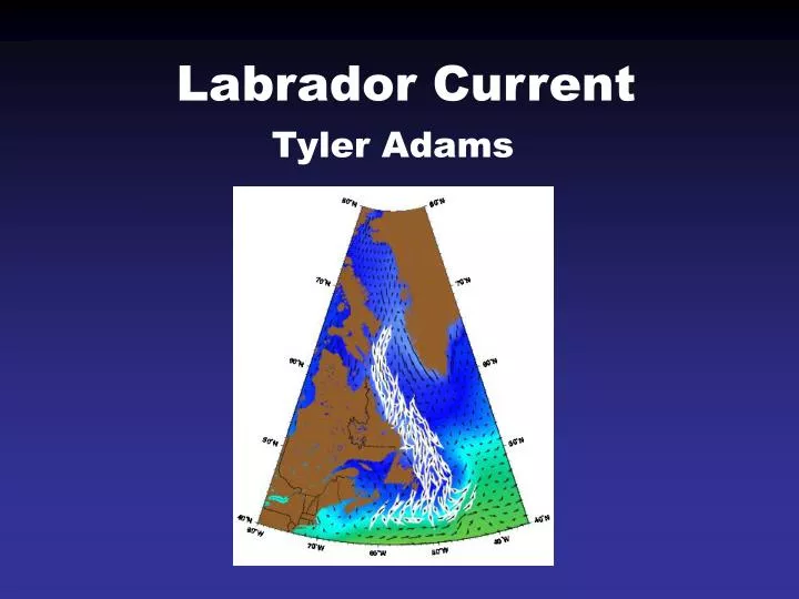 labrador current