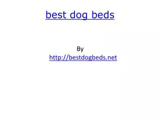 best dog beds