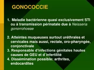 gonococcie