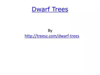 Dwarf Trees