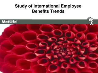 Study of International Employee Benefits Trends