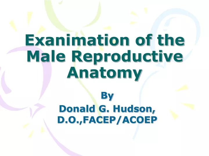 exanimation of the male reproductive anatomy