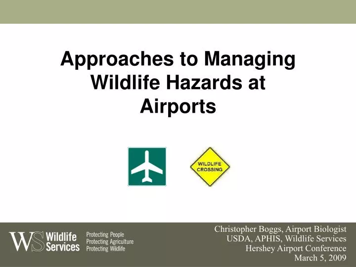 approaches to managing wildlife hazards at airports