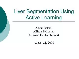 Liver Segmentation Using Active Learning