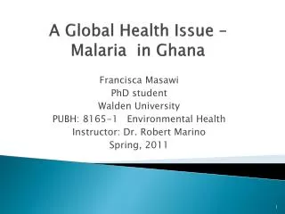 A Global Health Issue – Malaria in Ghana