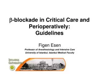 b -blockade in Critical Care and Perioperatively: Guidelines