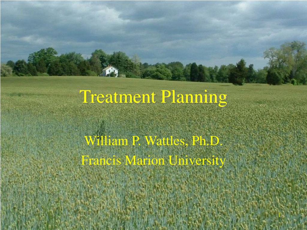 PPT - Treatment Planning PowerPoint Presentation, free download - ID:670504