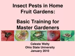 Insect Pests in Home Fruit Gardens: Basic Training for Master Gardeners