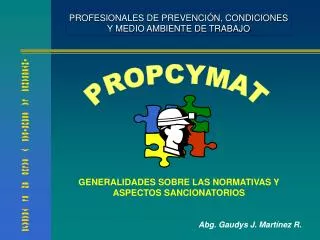PROFESIONALES DE PREVENCIÓN, CONDICIONES Y MEDIO AMBIENTE DE TRABAJO
