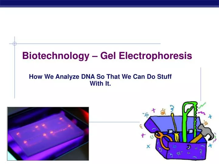 biotechnology gel electrophoresis
