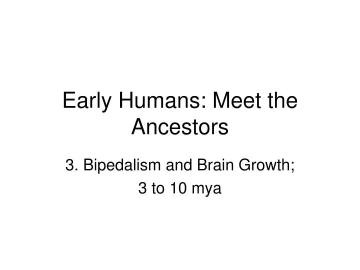 early humans meet the ancestors