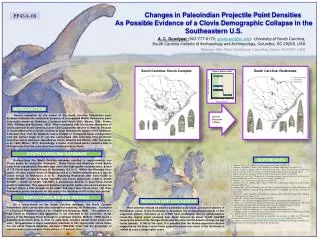 Changes in Paleoindian Projectile Point Densities As Possible Evidence of a Clovis Demographic Collapse in the S